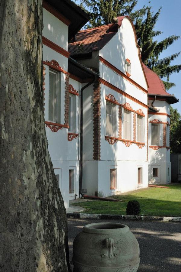 Kastelyszallo Mateszalka住宿加早餐旅馆 外观 照片