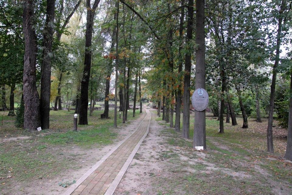 Kastelyszallo Mateszalka住宿加早餐旅馆 外观 照片