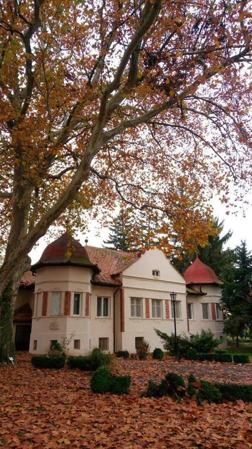 Kastelyszallo Mateszalka住宿加早餐旅馆 外观 照片